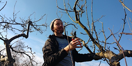 Tree Care with The Orchard Project
