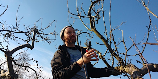 Primaire afbeelding van Pests, Diseases & Biodiversity with The Orchard Project