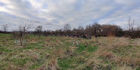 Volunteer With The Friends Of Lordship Rec Orchard Group