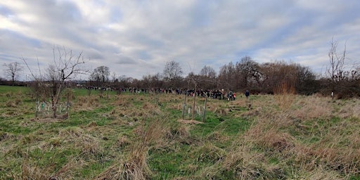 Image principale de Volunteer With The Friends Of Lordship Rec Orchard Group