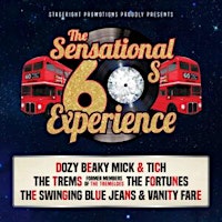 Primaire afbeelding van The Sensational 60’s Experience