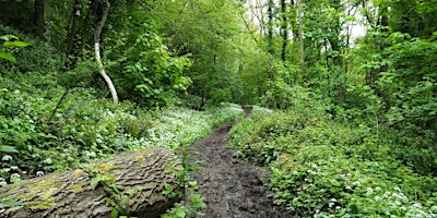 Walk 37  The Sites of Severn Gorge Countryside Trust 10 miles  primärbild