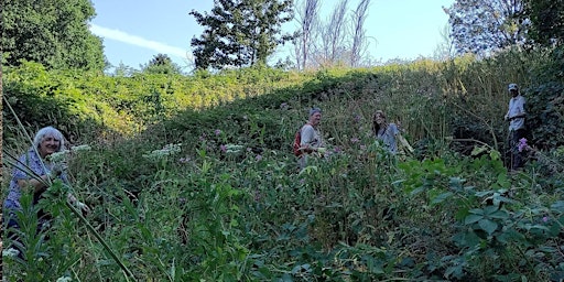 Imagem principal do evento Litter picking in Nightingale Valley