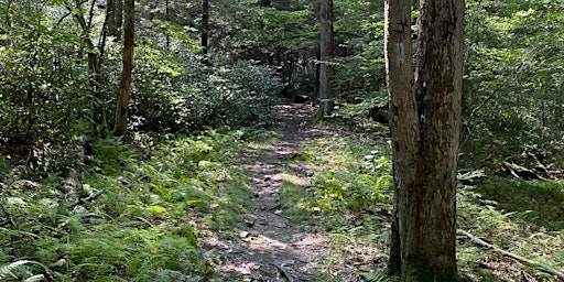 52 Hike Challenge - Pennsylvania Chapter Hike for National Trails Day  primärbild