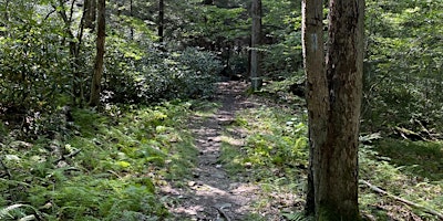 Imagem principal do evento 52 Hike Challenge - Pennsylvania Chapter Hike for National Trails Day