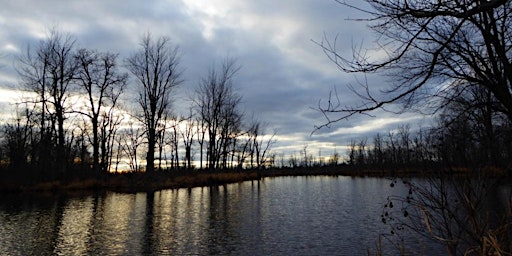 Primaire afbeelding van Daybreak Bird Walk