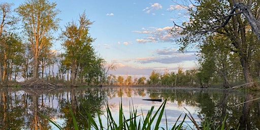 GMAS Maquam/Black Creek Bird Quest primary image