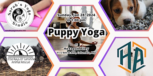 Puppy Yoga at Hexagon Alley primary image