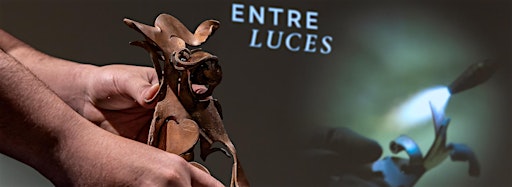 Imagen de colección para  Visitas guiadas "Entre Luces". Público general