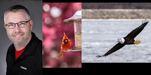 Hauptbild für Bird Photography with the Canon EOS R System