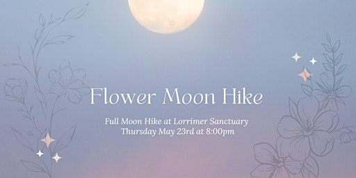 Flower Full Moon Hike  primärbild