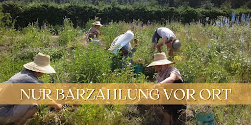 Primaire afbeelding van Qi Gong und Meditation -Eine Woche  des Rückzugs im Kloster Alexanderdorf