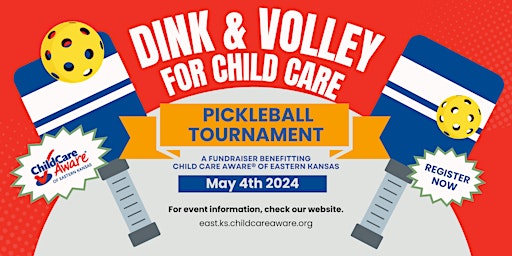 Imagem principal do evento Dink & Volley for Child Care