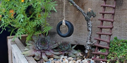 Primaire afbeelding van Planting A Fairy Container Garden - Community Workshop