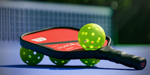 Immagine principale di Redmond Community Pickleball Tournament 