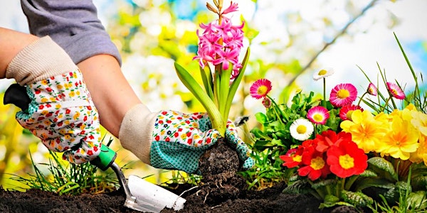 Spring into Gardening with Michael Wells