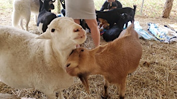 Hauptbild für Farm Tours