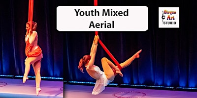 Youth Aerial Classes primary image
