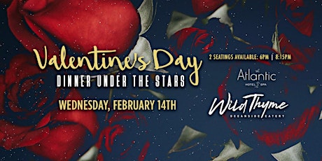 Valentine's Day -- Dinner Under the Stars primary image