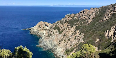 Imagem principal do evento Escursione all'isola di Gorgona
