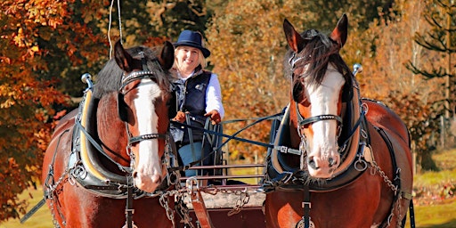 “Horse Drawn Carriage Tour of Crathes Estate: A Clydesdale Experience”