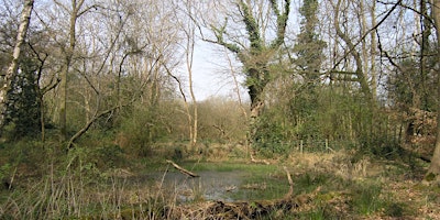 Hauptbild für Norfolk Commons Week - Walk with the warden (EDU OTHER)