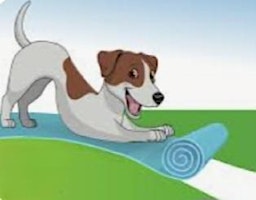 Primaire afbeelding van PUPPY YOGA WITH PAWS RESCUE LEAGUE