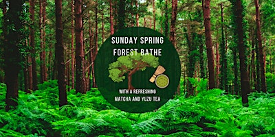 Sunday+Spring+Forest+Bathe+Walk++-+Chill+%26+Si