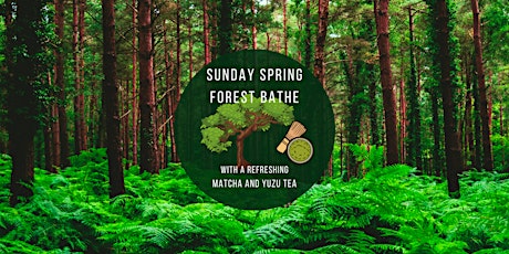 Sunday Spring Forest Bathe Walk  - Chill & Sip