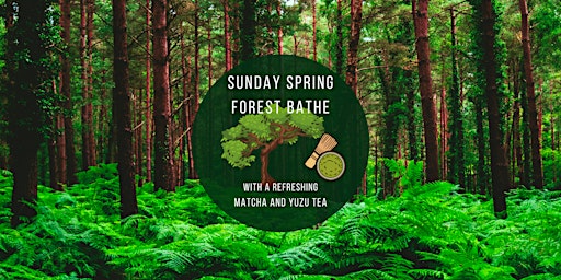 Primaire afbeelding van Sunday Spring Forest Bathe Walk  - Chill & Sip