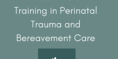 Copy of Study Day Perinatal Trauma and Bereavement primary image