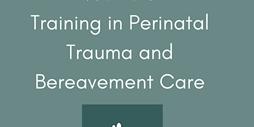 Copy of Copy of Study Day Perinatal Trauma and Bereavement primary image