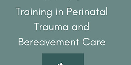 Copy of Copy of Study Day Perinatal Trauma and Bereavement