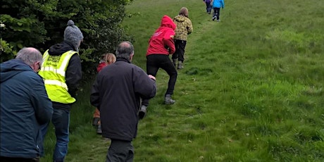 Dawn Chorus Walk