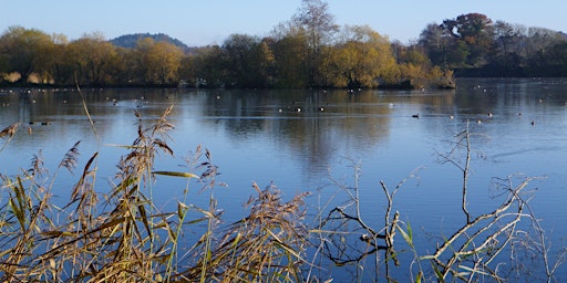 Blashford Lakes  Wildlife Tots primary image