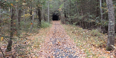 Spring Saunters: Steep Rock Preserve primary image