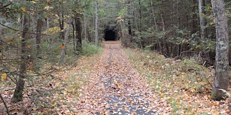 Spring Saunters: Steep Rock Preserve