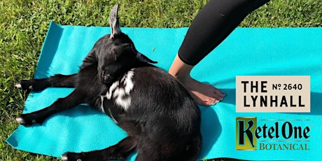 Goat Yoga at The Lynhall primary image