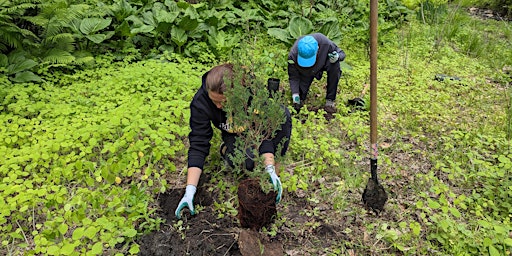 Hauptbild für Arboretum Volunteer Session