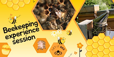 Imagen principal de A  Bee Experience - at the Gardens (Morning)