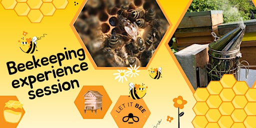 Imagen principal de A  Bee Experience - at the Gardens (afternoon)