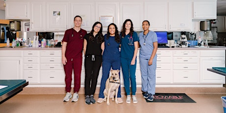 Webinar | Becoming An Associate Relief Veterinarian