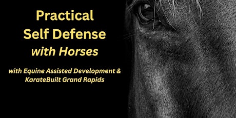 Practical Self Defense with Horses