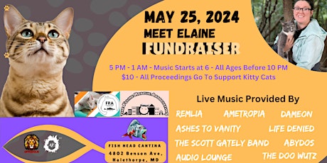 Fundraiser for Cats