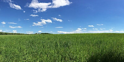 Hauptbild für Summer Saunters: Macricostas Preserve