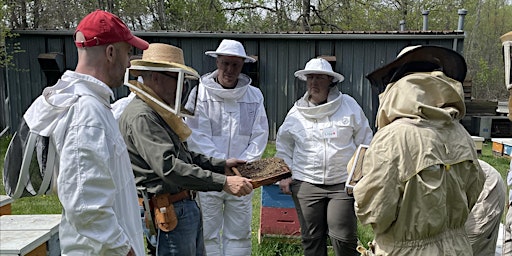 Imagen principal de 2024 IN-PERSON  Introductory Beekeeping Course #2
