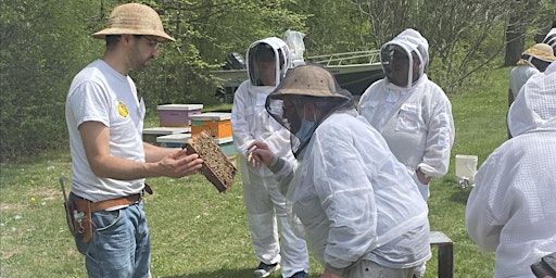 Imagen principal de 2024 IN-PERSON  Introductory Beekeeping Course #1