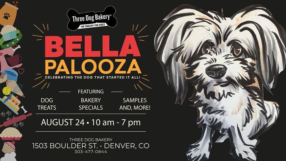 Bellapalooza- a party for dogs!