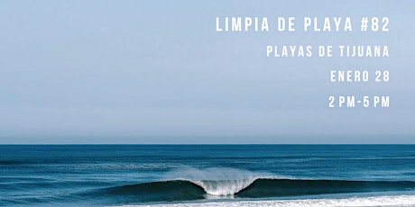 Imagen principal de Limpia de playa #82