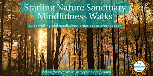 Mindful Nature Walks - Scott Starling Nature Sanctuary primary image